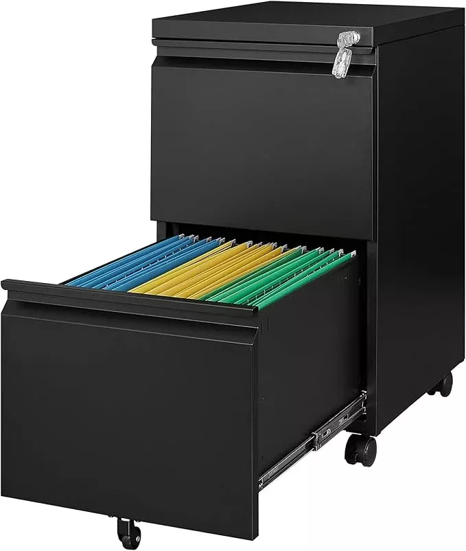 Rolling File Cabinet with Lock, 2 Drawer Metal Mobile Office Filing Cabinet Under Desk for Legal/Letter Size(Assembly Required)